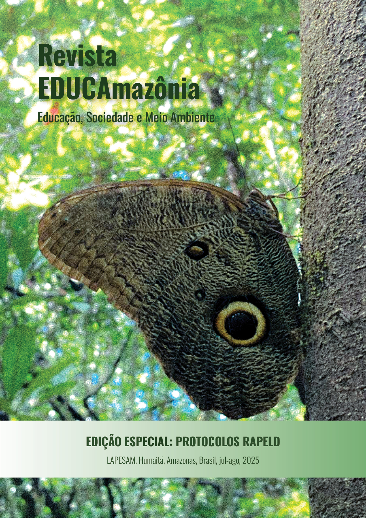 Foto da capa: Caligo eurilochus
