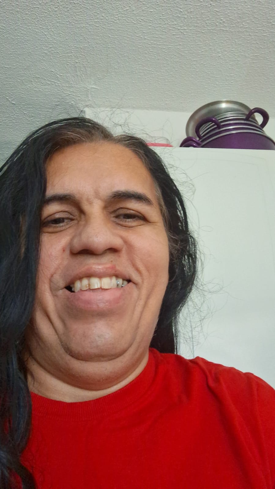 Fonte: Wendell Teles de Lima (2025).