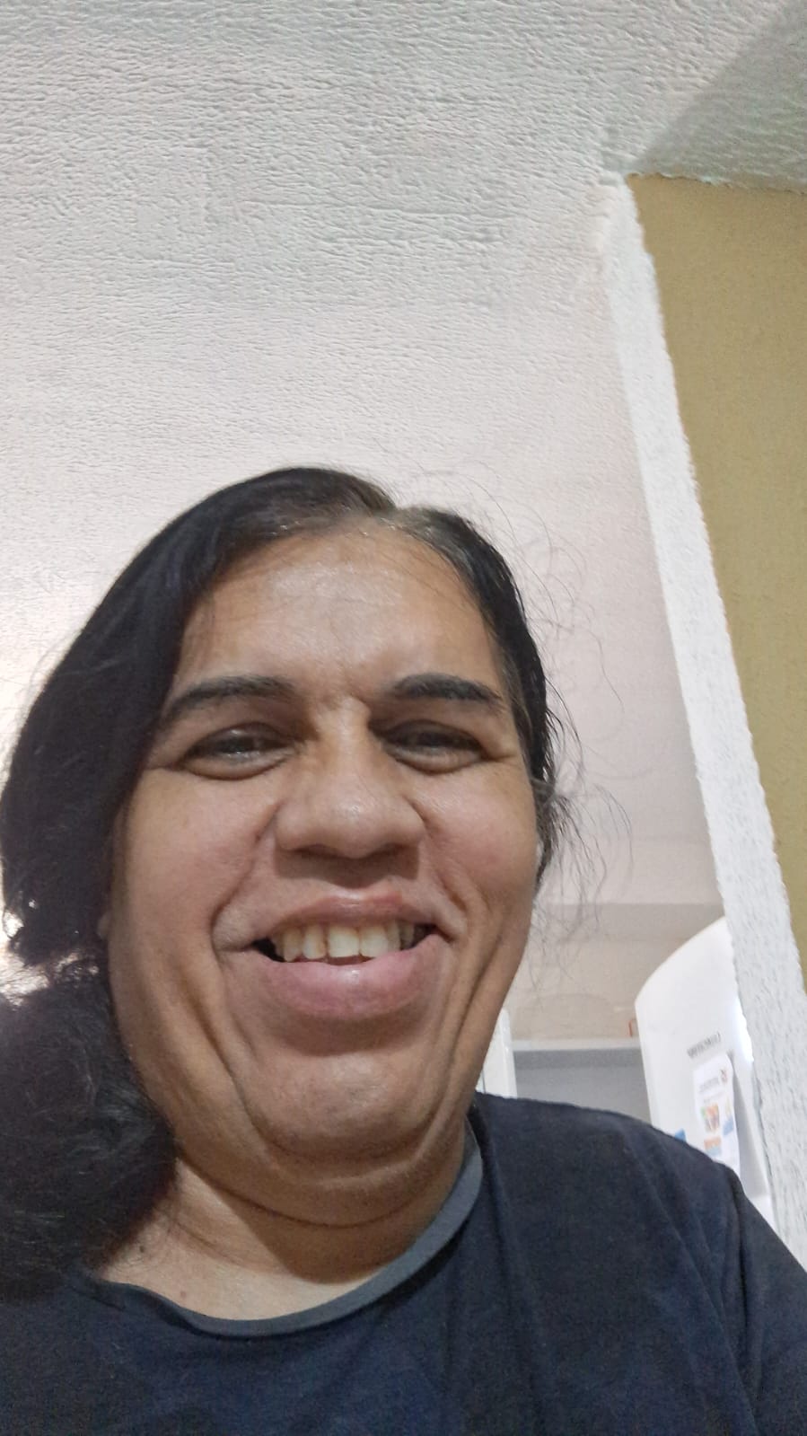 Fonte: Wendell Teles de Lima (2025).