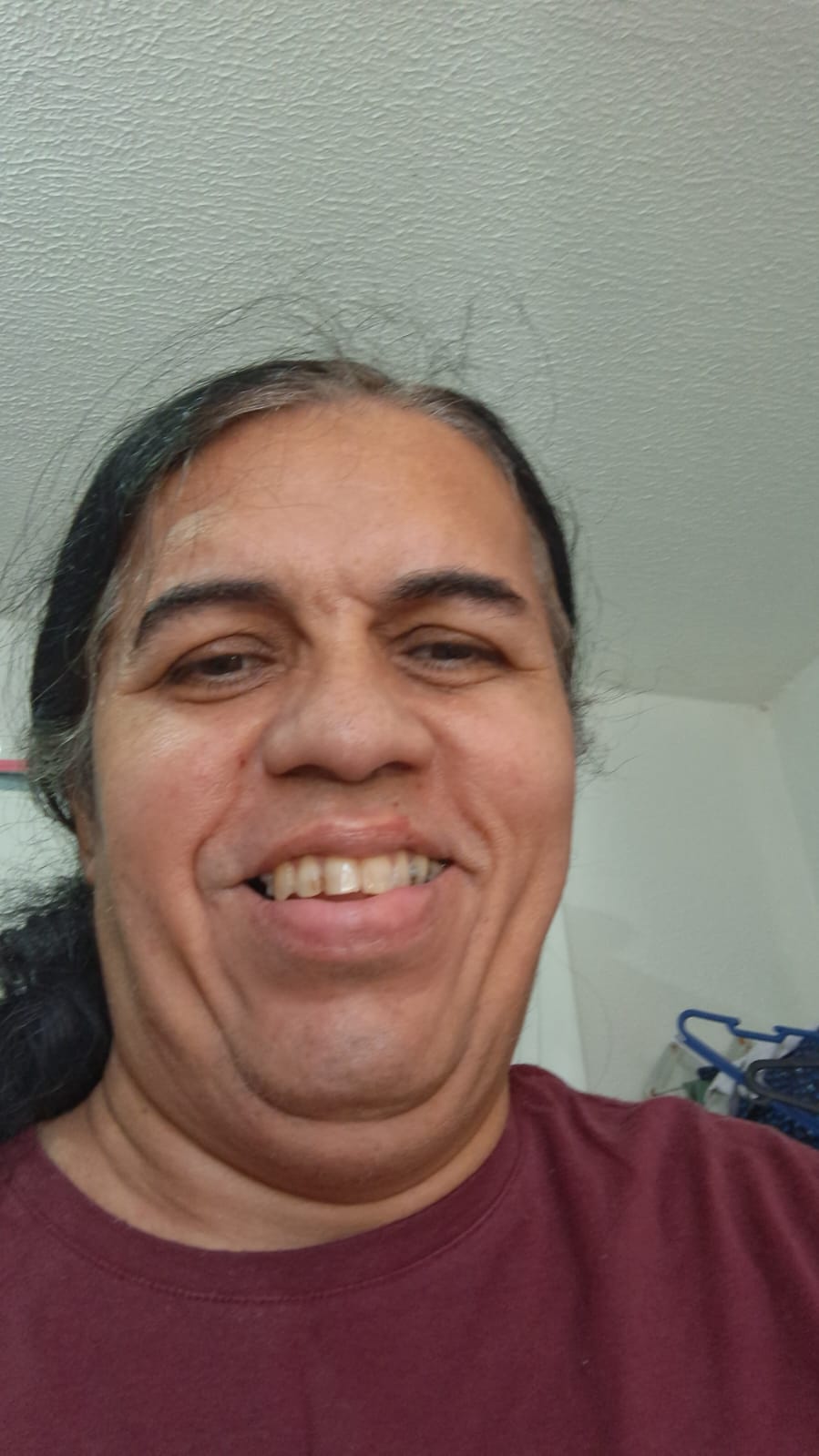 Fonte: Wendell Teles de Lima (2025).