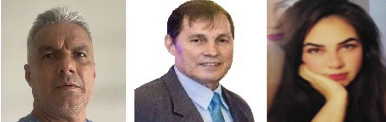 Fonte: Ivan de Jesus Ferreira (2025).