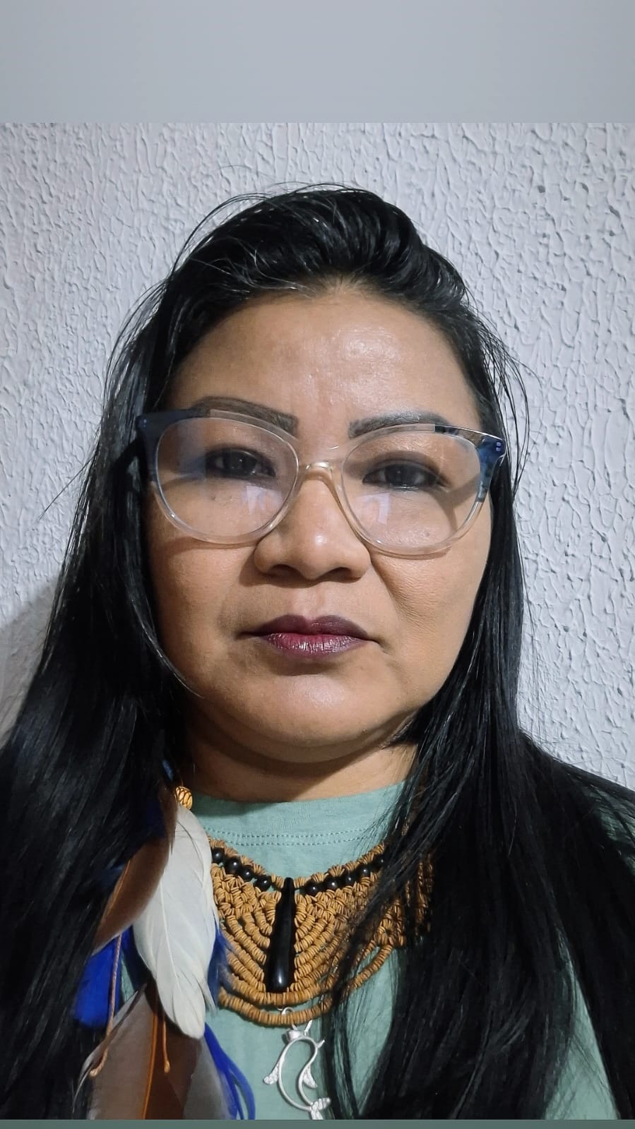 Fonte: Wendell Teles de Lima (2025).