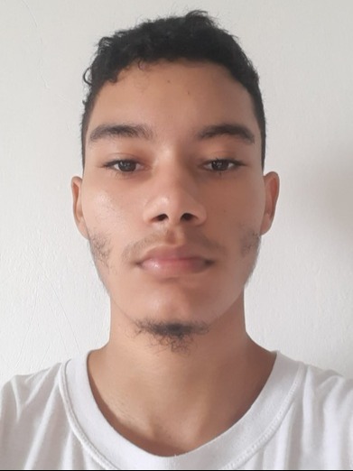 Fonte: Wendell Teles de Lima (2025).