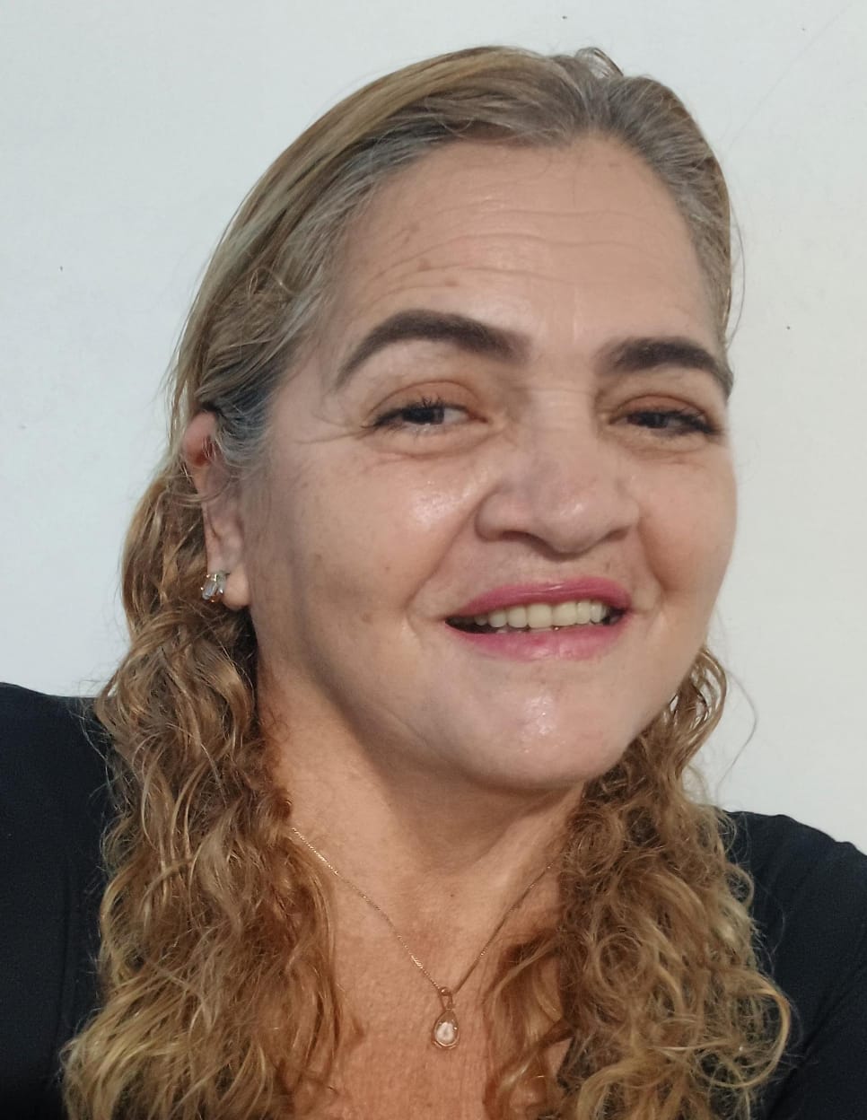 Fonte: Wendell Teles de Lima (2025).