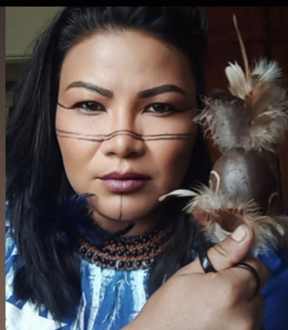 Fonte: Wendell Teles de Lima (2025).