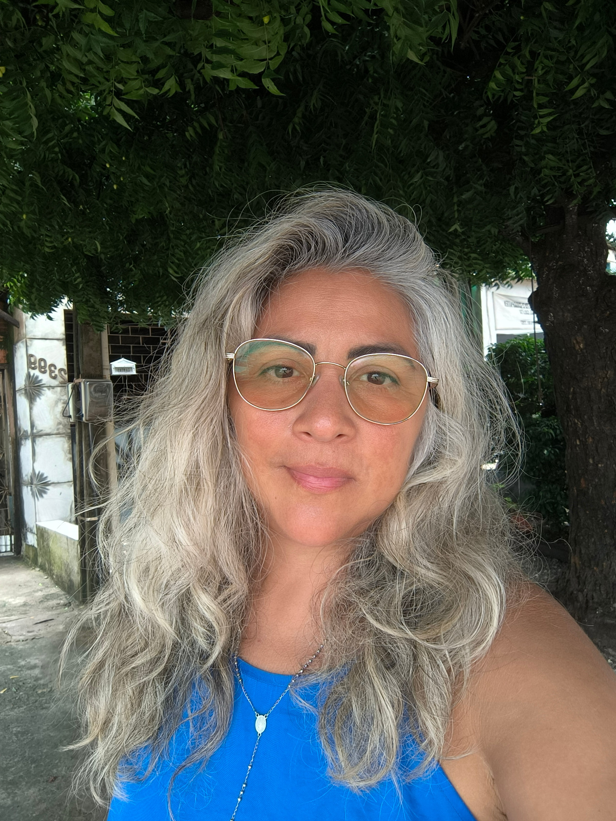 Fonte: Wendell Teles de Lima (2025).