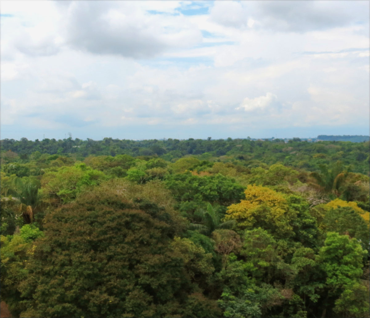 Fonte: Kemel Barbosa (2024).