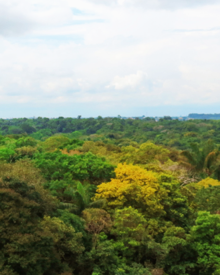 Fonte: Kemel Barbosa (2024).