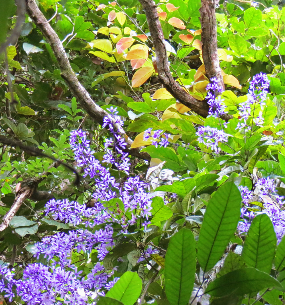 Fonte: Kemel Barbosa (2026).