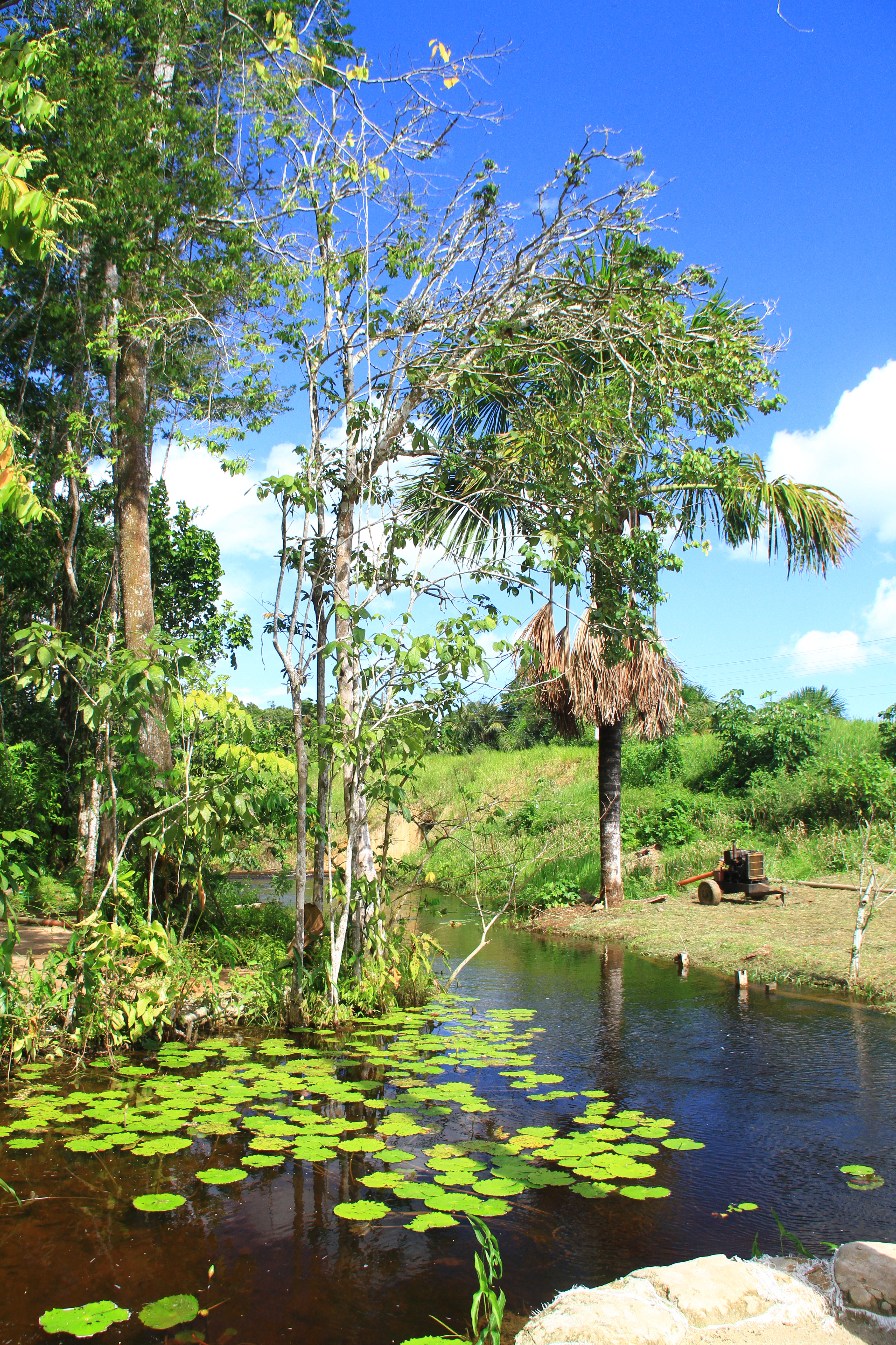 Fonte: Kemel Barbosa (2026).