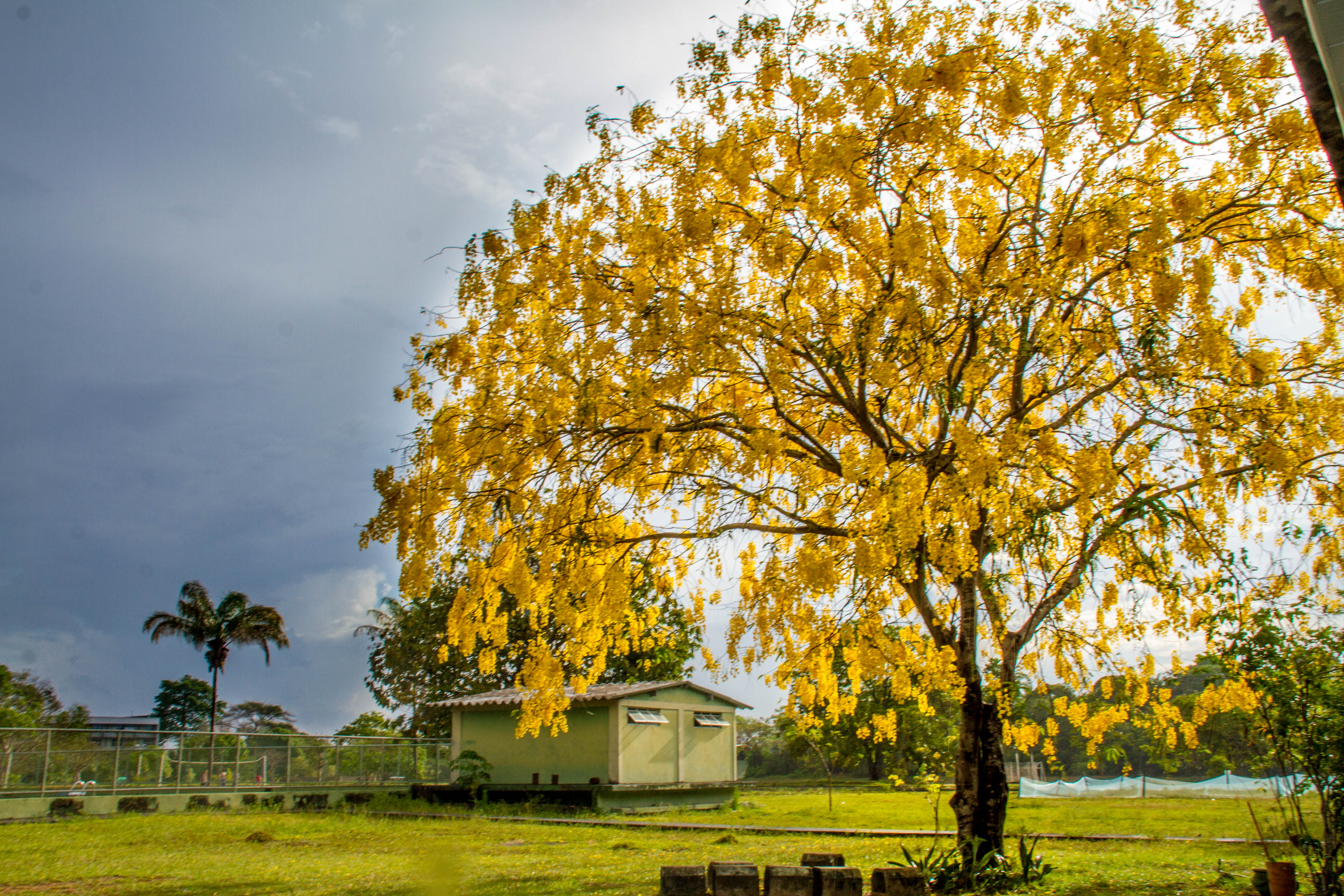 Fonte: Kemel Barbosa (2026).