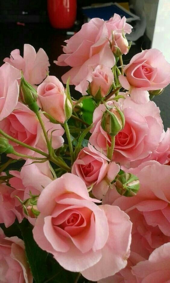 Fonte: Pinterest (2026).