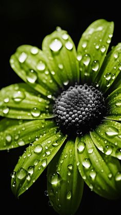 Fonte: Pinterest (2026).