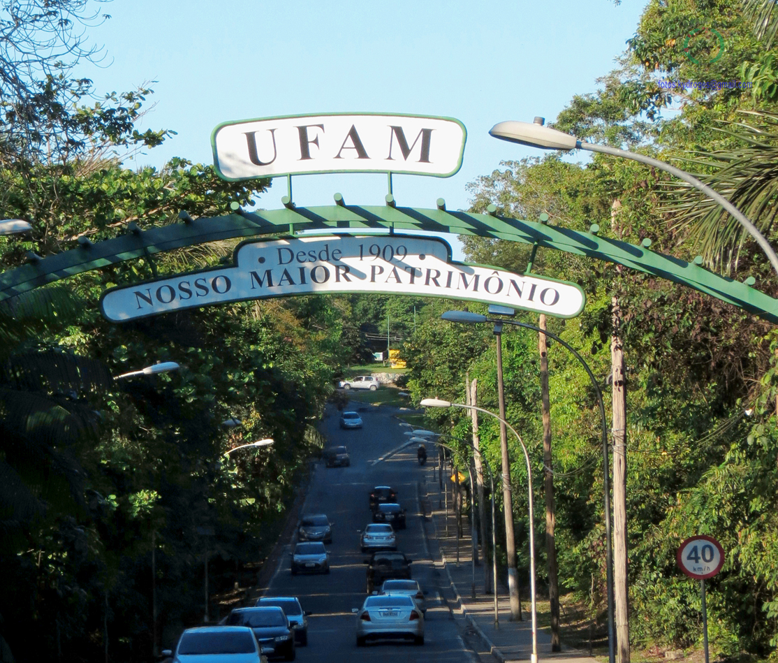 Fonte: Kemel Barbosa (2026).