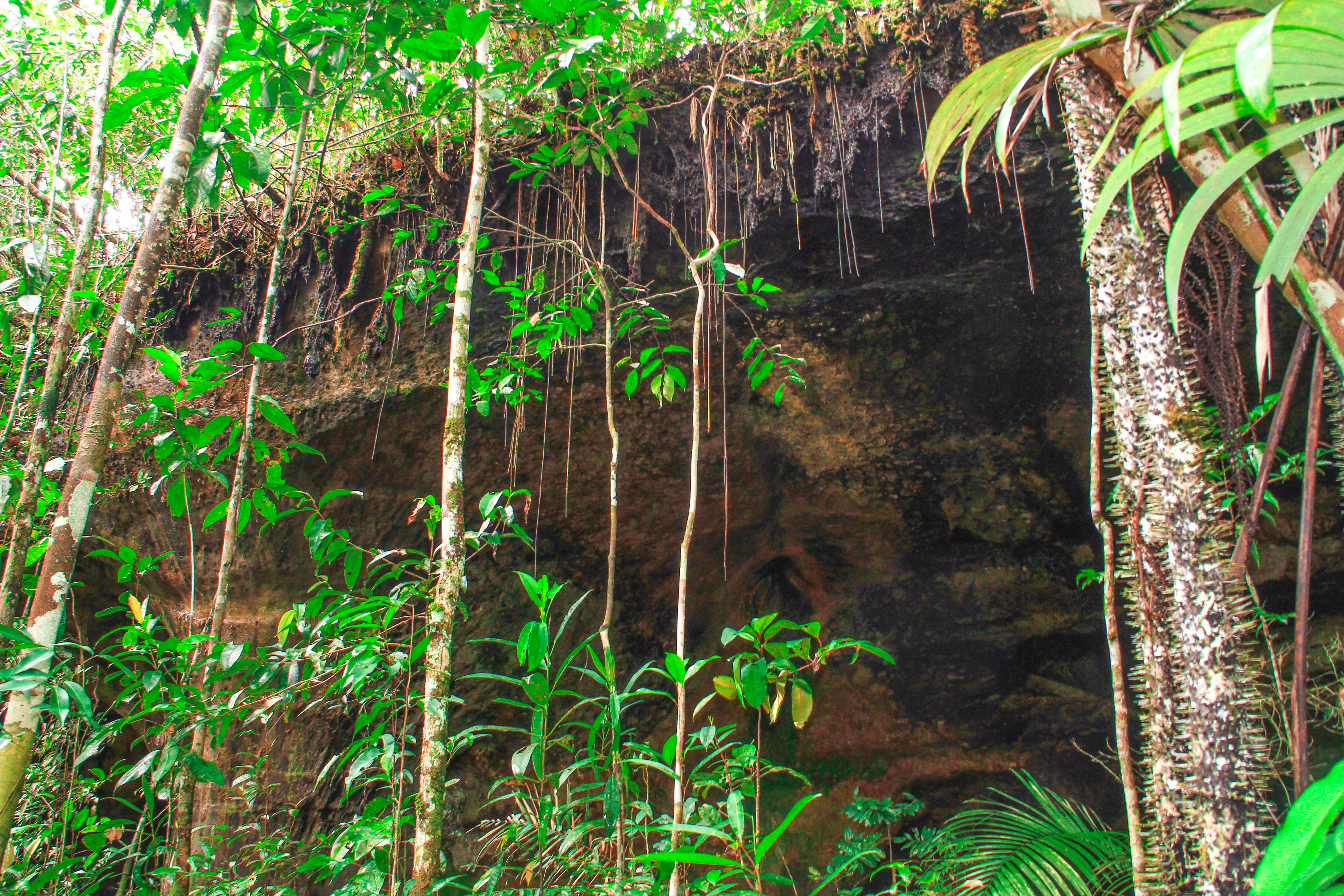 Fonte: Kemel Barbosa (2026).